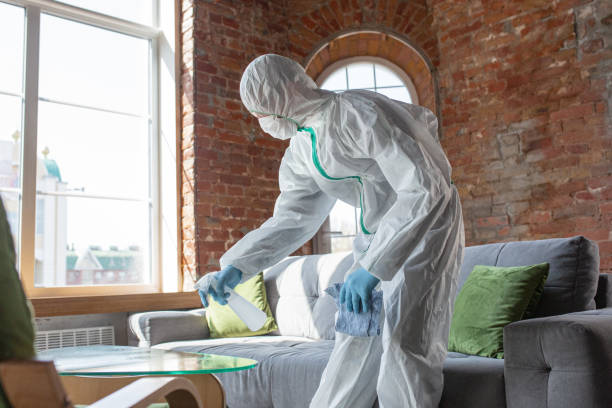 Best Mold Prevention Services  in Lewes, DE